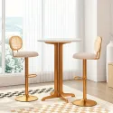 Height-adjustable Bar Stool Set of 2 Swivel Bar Chairs with PE Rattan Backrest